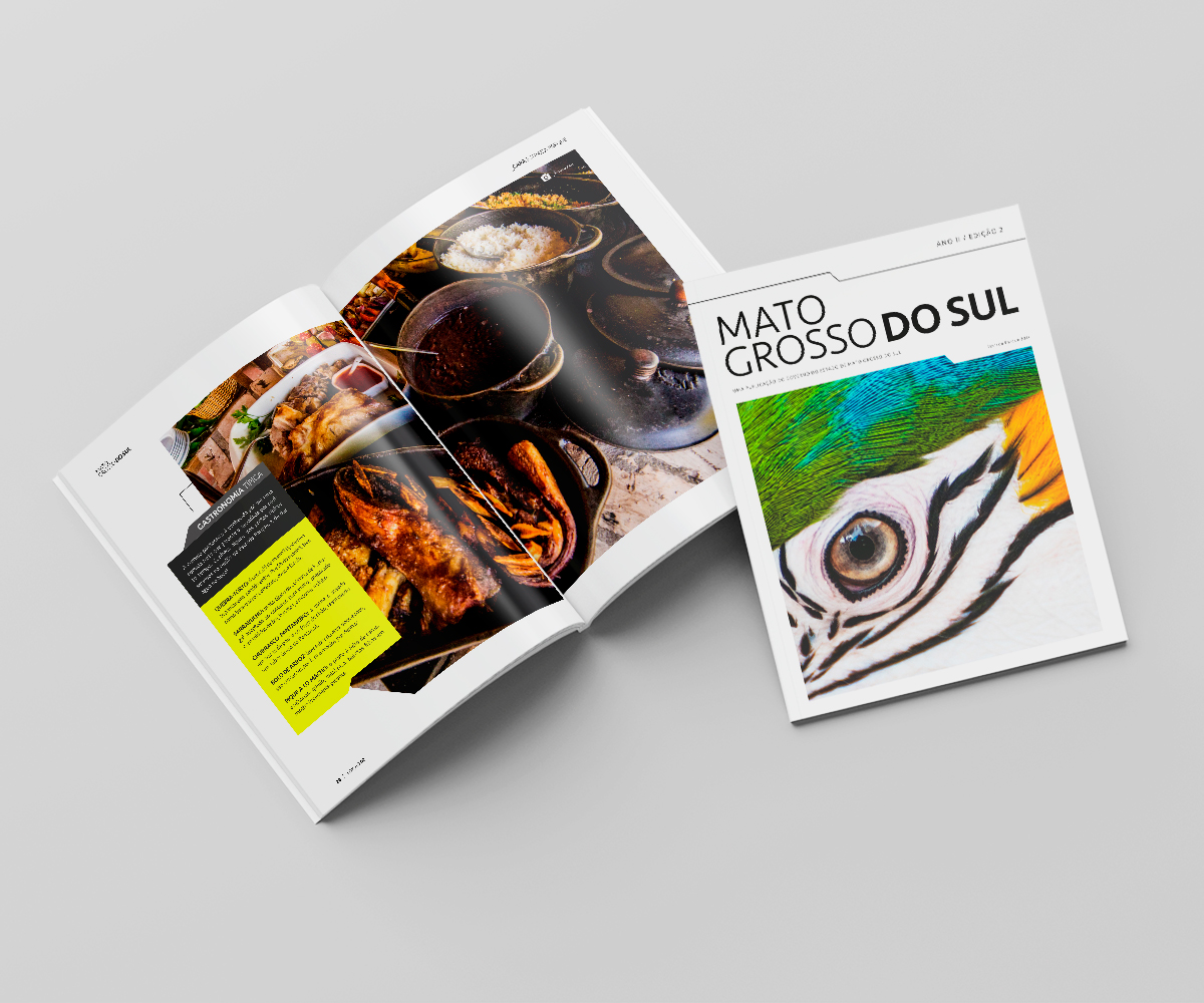 Revista Mato Grosso do Sul