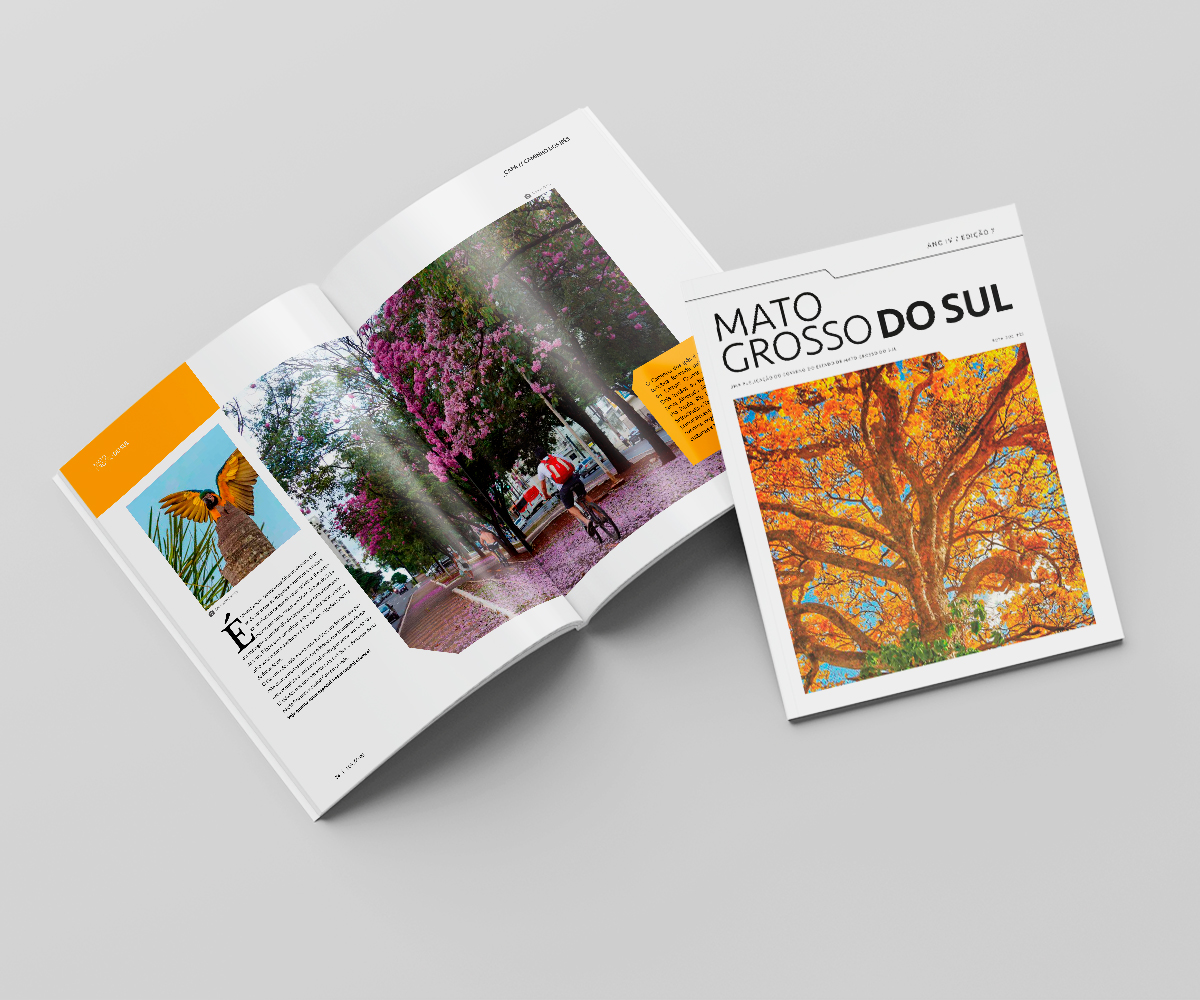 Revista Mato Grosso do Sul